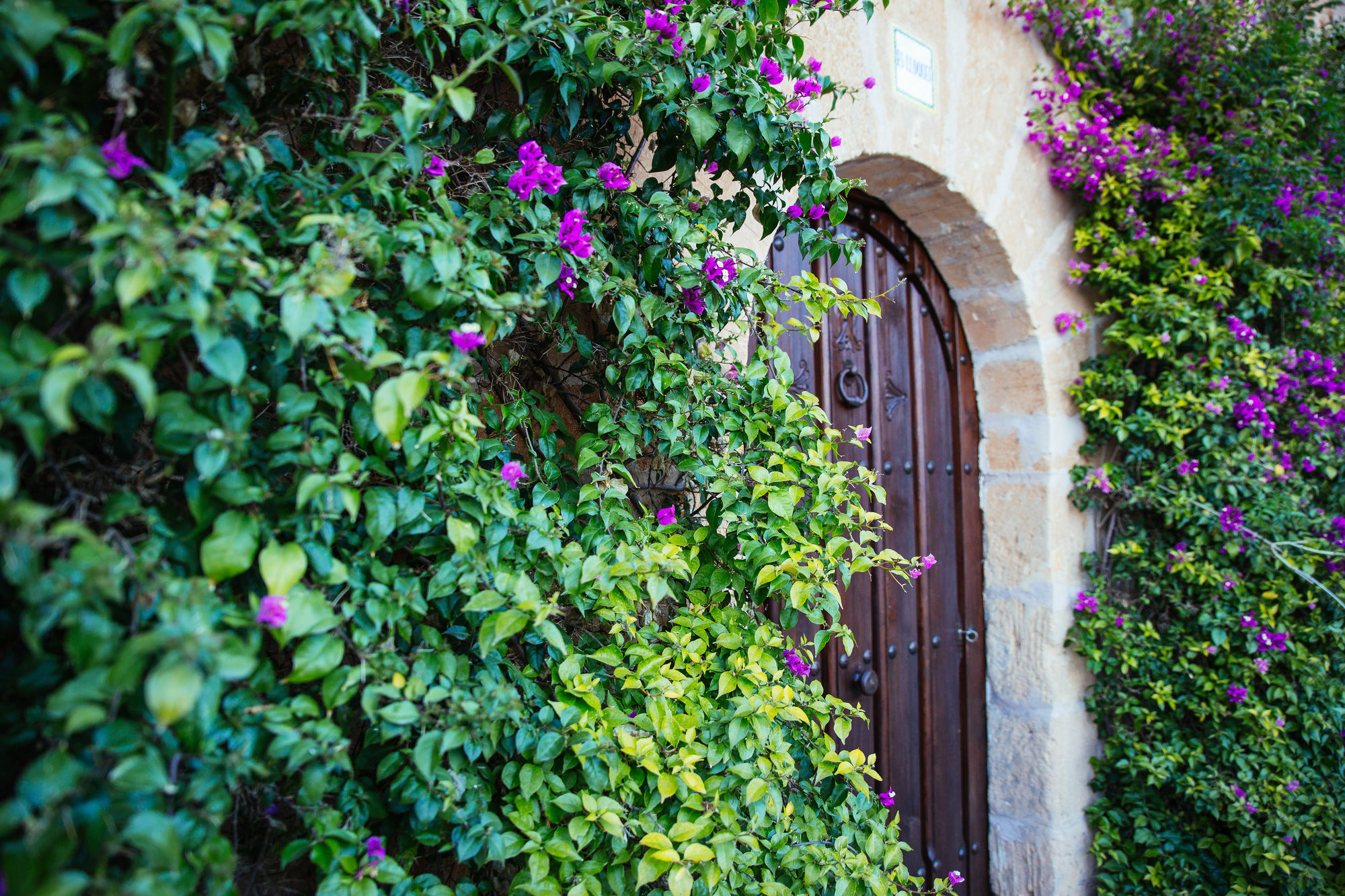 Hotel Es Lloquet (Adults Only) Campos  Luaran gambar