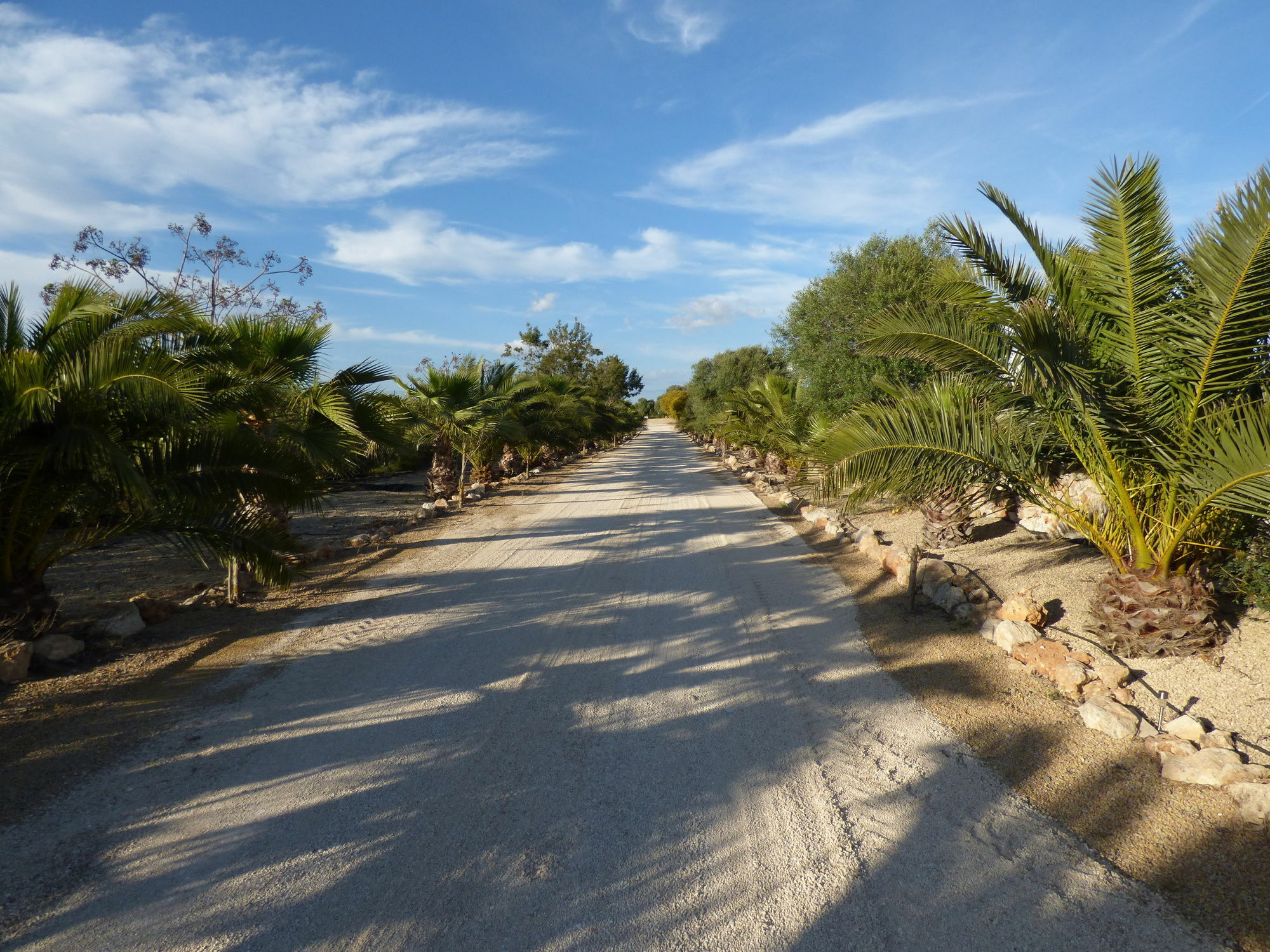 Hotel Es Lloquet (Adults Only) Campos  Luaran gambar